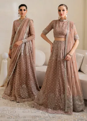 Chinnon Chiffon Formals '24 by Iznik | CC - 43