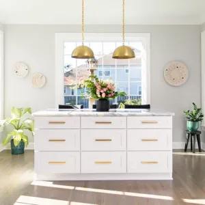 ECOS Paints - Interior Paint